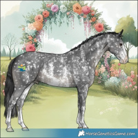 Horse Color:Black Sabino Appaloosa 