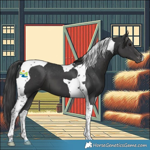 Horse Color:Black Tobiano Varnish 