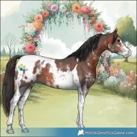 Horse Color:Bay Sabino Tobiano Appaloosa 