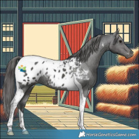 Horse Color:Black Tobiano Blanket Rabicano 