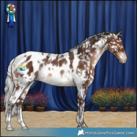 Horse Color:White Spotted Silver Brown Blanket Rabicano 