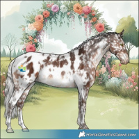 Horse Color:White Spotted Silver Brown Appaloosa Rabicano