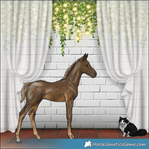 Horse Color:Chocolate Palomino Mushroom 