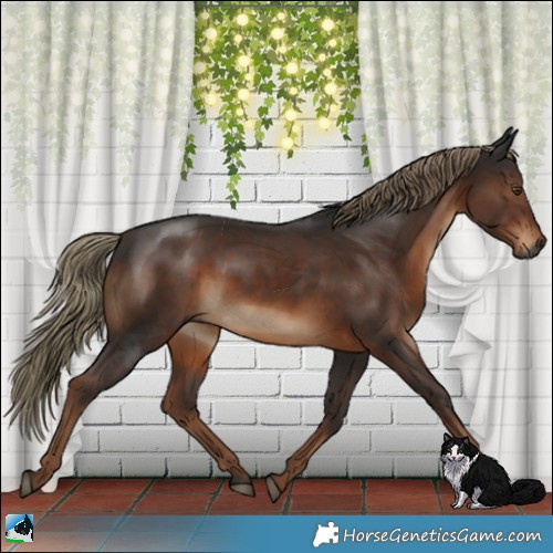 Horse Color:Gray Liver Chestnut Mushroom