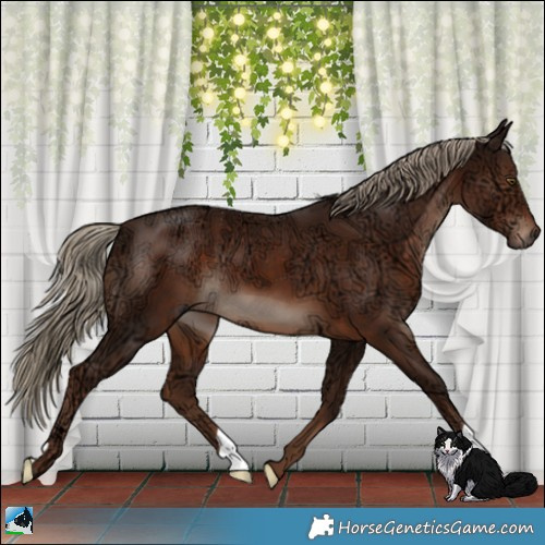 Horse Color:Liver Chestnut Ice 