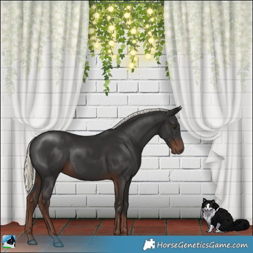 Horse Color:Liver Chestnut Mushroom 