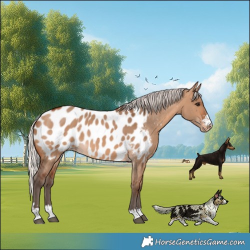 Horse Color:Silver Brown Dun Near Leopard 