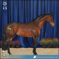 Horse Color:Brown Rabicano 