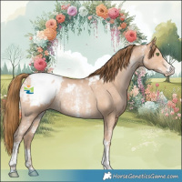 Horse Color:Brown Pearl Sabino Appaloosa Rabicano 