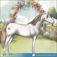 Horse Color:Bay Pearl Sabino Snowcap Rabicano 