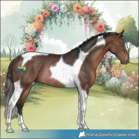 Horse Color:Bay Tobiano Rabicano 