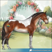 Horse Color:Bay Tobiano 