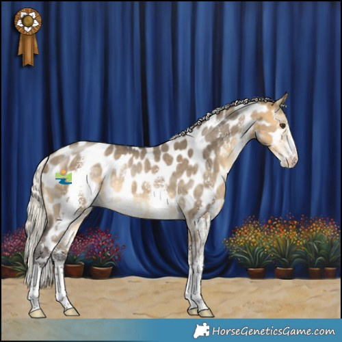 Horse Color:Silver Buckskin Dun Sabino Appaloosa Rabicano 