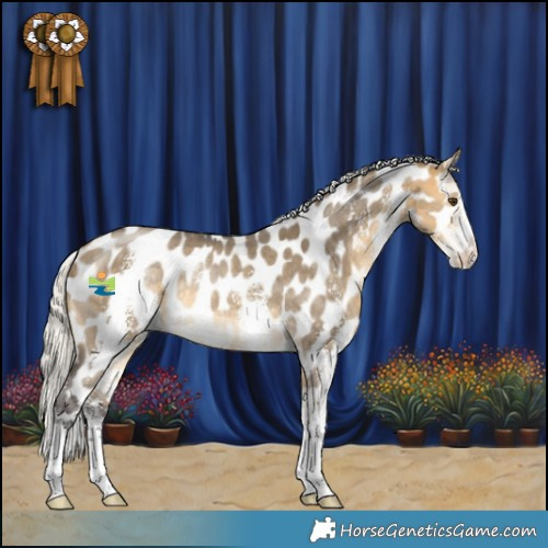 Horse Color:Silver Buckskin Dun Sabino Appaloosa Rabicano 