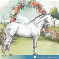 Horse Color:Silver Buckskin Sabino Appaloosa Rabicano