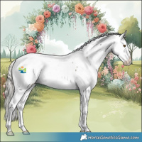 Horse Color:Silver Buckskin Sabino Appaloosa Rabicano 