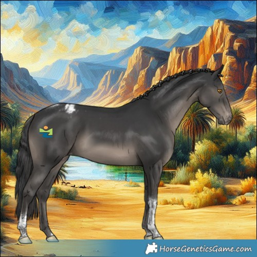 Horse Color:Black Tobiano Appaloosa Rabicano 