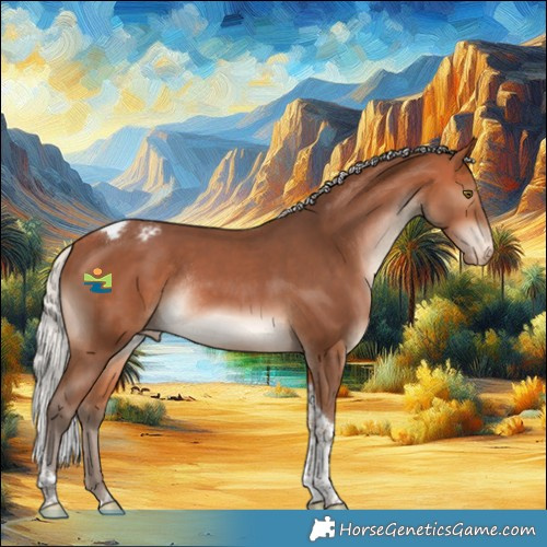 Horse Color:Silver Bay Tobiano Appaloosa Rabicano 