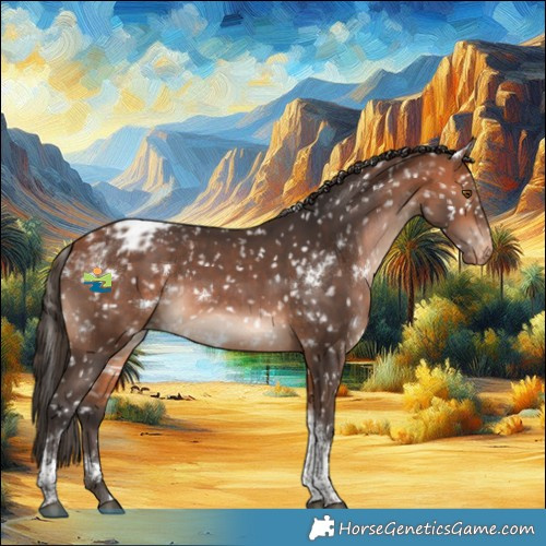 Horse Color:White Spotted Bay Tobiano Appaloosa 