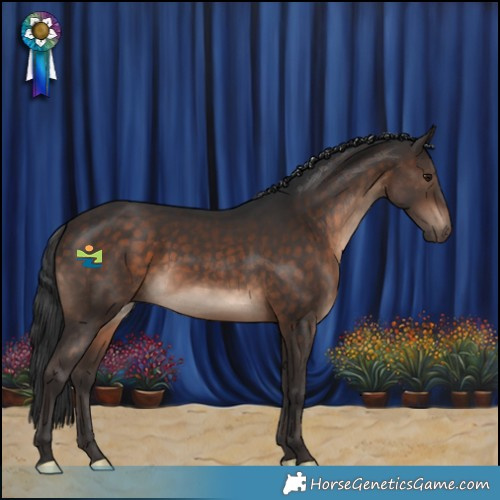 Horse Color:Brown Rabicano 