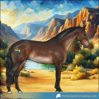 Horse Color:Brown Rabicano 