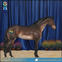 Horse Color:Brown Rabicano 