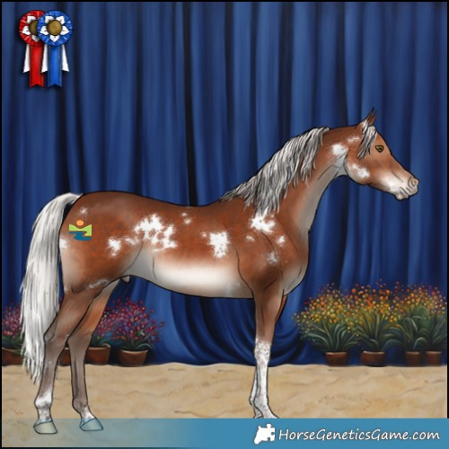 Horse Color:White Spotted Silver Brown Tobiano Rabicano 