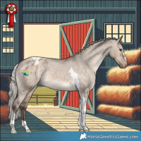 Horse Color:Silver Brown Dun Tobiano Appaloosa