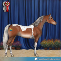 Horse Color:Silver Brown Tobiano