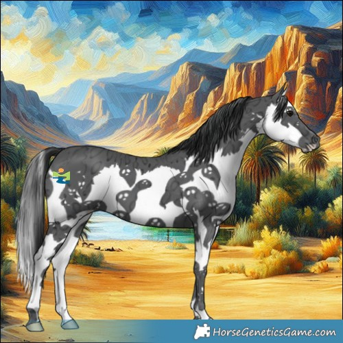 Horse Color:Black Ice Splash 
