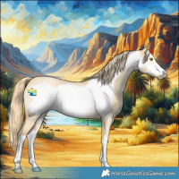 Horse Color:White Spotted Palomino Roan Dun Frame 