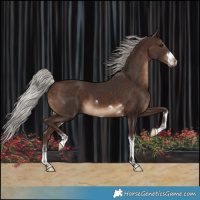 Horse Color:Silver Brown 