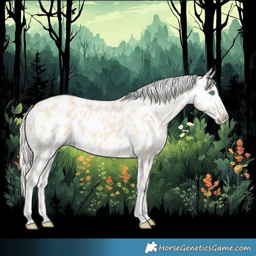 Horse Color:Cremello Appaloosa 