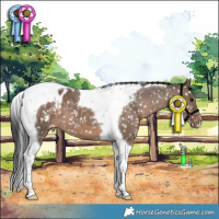Horse Color:Brown Dun Tobiano Blanket 
