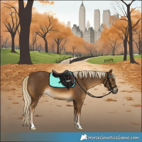 Horse Color:Chocolate Palomino 