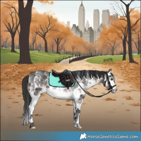 Horse Color:Brown Ice Sabino Splash