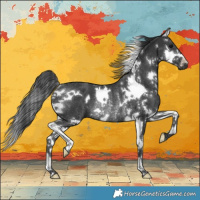 Horse Color:White Spotted Black Splash Rabicano 