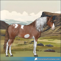 Horse Color:Chestnut Tobiano Frame Varnish 