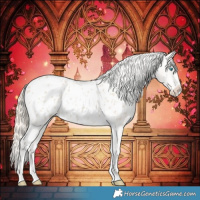 Horse Color:Smoky Creme Appaloosa