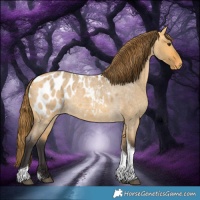 Horse Color:Buckskin Roan Dun Tobiano Blanket 
