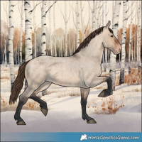 Horse Color:Bay Roan Dun Appaloosa