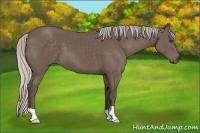 Horse Color:Silver Black 