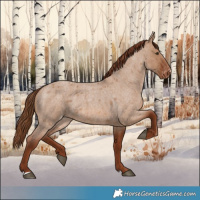 Horse Color:Red Dun Roan Varnish