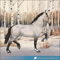 Horse Color:Bay Roan Dun Varnish