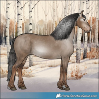 Horse Color:Gray Liver Red Dun Varnish