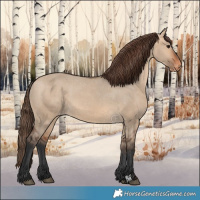 Horse Color:Bay Dun Appaloosa 