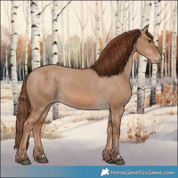 Horse Color:Red Dun Varnish 