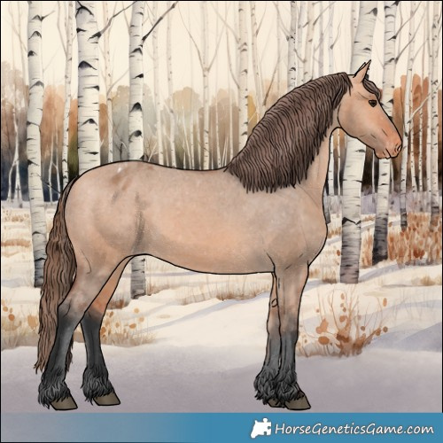 Horse Color:Bay Dun Appaloosa