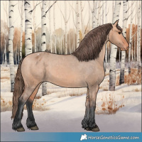 Horse Color:Bay Dun Appaloosa 