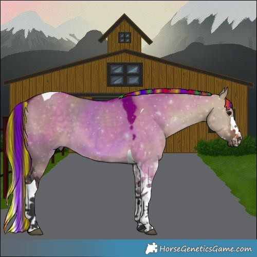 Horse Color:Painted Brown Dun Splash Tobiano 